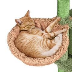 Soft, plush cat bed for comfortable cat relaxation and sleep. Perfect for indoor cats, offering warmth and support. Durable and easy to clean, ideal for adding comfort to your pet's space.