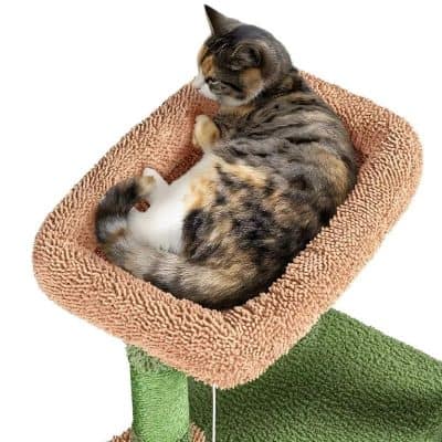 Cute cat relaxing in plush pet bed for comfort and relaxation, perfect for cats and small pets. High-quality pet accessories from Mona Lisa Store for your furry friends.