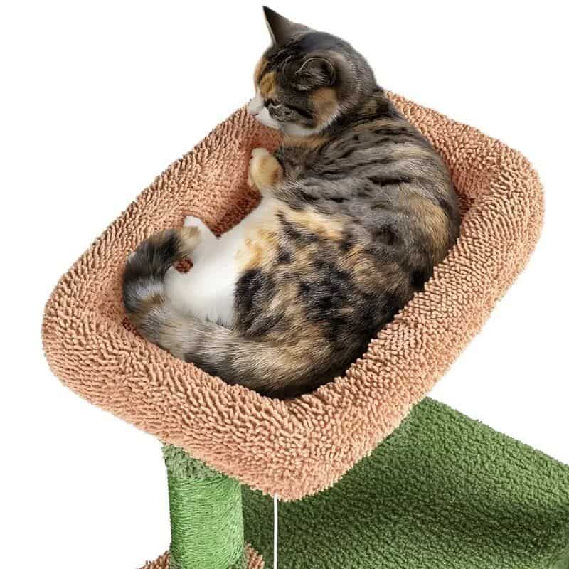 Cute cat relaxing in plush pet bed for comfort and relaxation, perfect for cats and small pets. High-quality pet accessories from Mona Lisa Store for your furry friends.