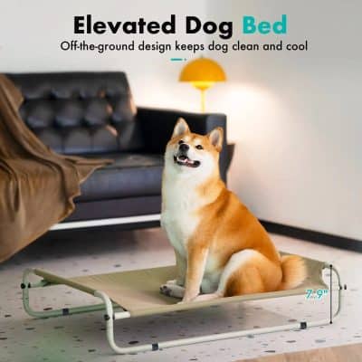 Comfortable off-ground dog bed for pets to stay cool and clean, with a sturdy frame and breathable fabric, ideal for small to medium-sized dogs.