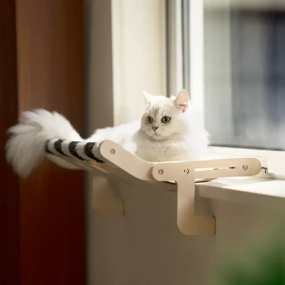 High-quality white cat relaxing on a cozy window sill bed, perfect for pet comfort and outdoor observation, showcased by Monalisa Medical Store for pet lovers and ideal for opt pet accessories.
