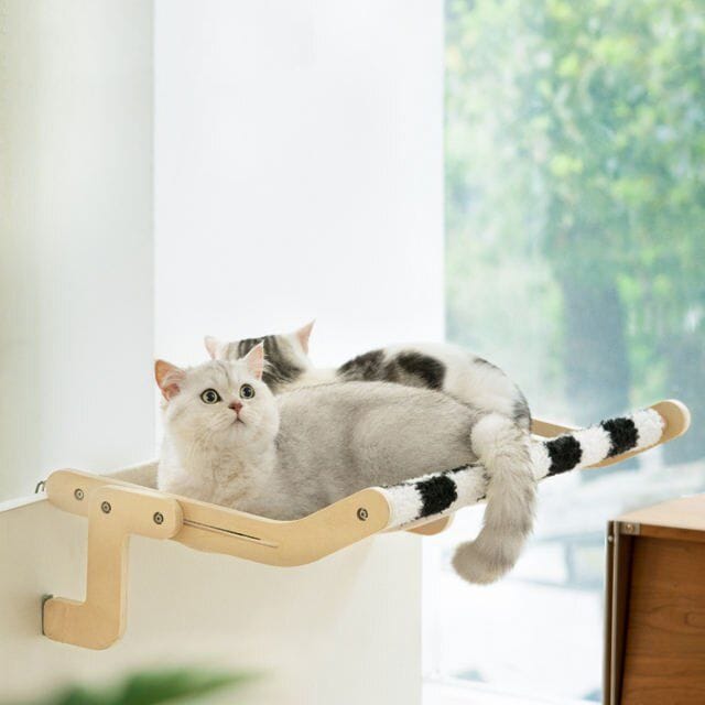 Beautiful cats relaxing on a cozy cat tree at Monalisa Store. Perfect for pet lovers seeking stylish and functional cat furniture.