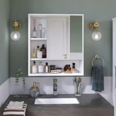 Clean and stylish bathroom cabinet with mirror, shelves for toiletries, skincare, and beauty products, ideal for organized and modern bathroom decor.