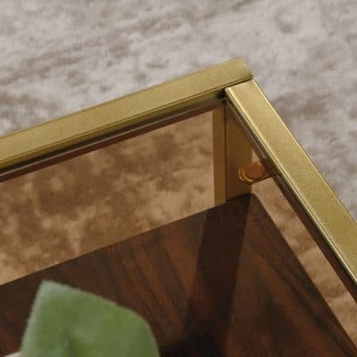 Stylish gold glass showcase with wooden base, ideal for displaying designer glasses and optical frames at Monalisa Store. Enhances visual appeal for high-end eye care products.