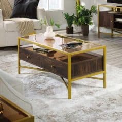 Elegant coffee table with gold frame and dark wood drawers for stylish living room decor. Ideal for showcasing decor, storing essentials, and enhancing your space with contemporary design.