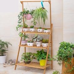 Lush indoor plants arranged on a wooden stand for homes or offices, perfect for botanical decor and indoor gardening enthusiasts.