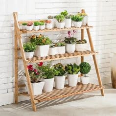 Bright white potted plants display on wooden plant stand.