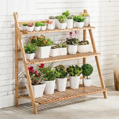 Bright white potted plants display on wooden plant stand.