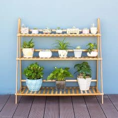 Beautiful wooden plant stand with diverse greenery, ideal for enhancing optometry office interiors and creating a calming environment for patients and staff.