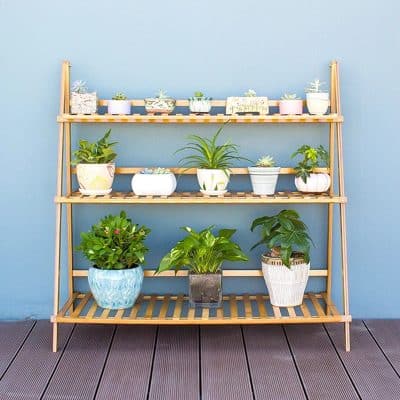 Beautiful wooden plant stand with diverse greenery, ideal for enhancing optometry office interiors and creating a calming environment for patients and staff.