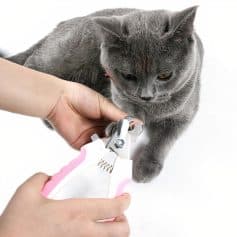 Close-up of a person using pet grooming scissors to trim a gray cat’s fur, highlighting the importance of professional grooming tools for pets.
