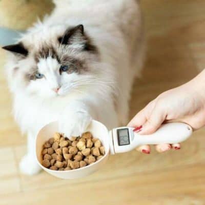 Digital pet food scale measuring kibble for accurate feeding. Ideal for cats and pet owners seeking precise portion control and balanced diet.
