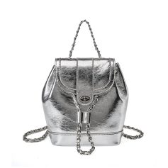 Luxurious silver handbag with chain strap, stylish accessory for women. Perfect for fashion-conscious individuals seeking trendy, designer-inspired handbags.