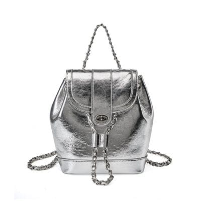 Luxurious silver handbag with chain strap, stylish accessory for women. Perfect for fashion-conscious individuals seeking trendy, designer-inspired handbags.