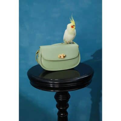 Bright green handbag with gold hardware, perched sunflower cockatoo on top, against a vibrant blue background, ideal for fashion and accessory stores.