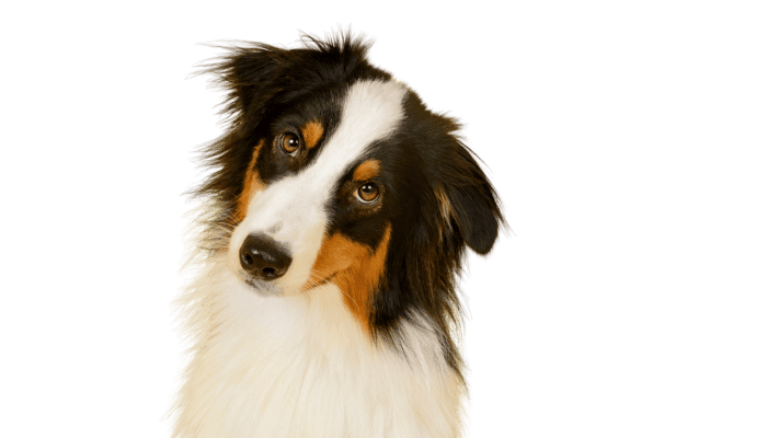 Shop at Monalisa Store for the latest health, beauty, and wellness products with exclusive deals and trending offers. Perfect for enhancing your health and beauty routine.