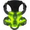 LED-lit pet harness with neon green illumination for high visibility and breathable mesh fabric behind the neck area.