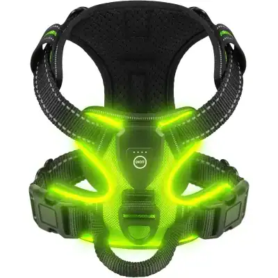 LED-lit pet harness with neon green illumination for high visibility and breathable mesh fabric behind the neck area.