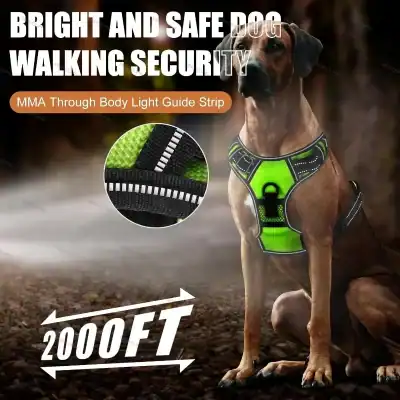 Dog wearing a neon green safety harness with reflective straps; ad text says'Bright and Safe Dog Walking Security' and'2000FT' for long-range visibility.