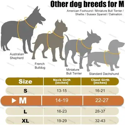 Infographic showing four dog silhouettes (Australian Shepherd, French Bulldog, Miniature Bull Terrier, Standard Dachshund) with a size chart (Neck Girth and Chest Girth) for S to XL sizes