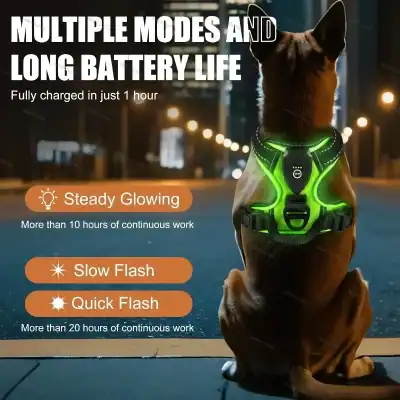 Back view of a dog wearing a neon green illuminated harness on a city street at night; three orange pills list the modes: Steady Glowing, Slow Flash, Quick Flash, with battery life notes displayed underneath (10+ and 20+ hours). This conveys the product's lighting modes and long battery life without relying on visual details alone.